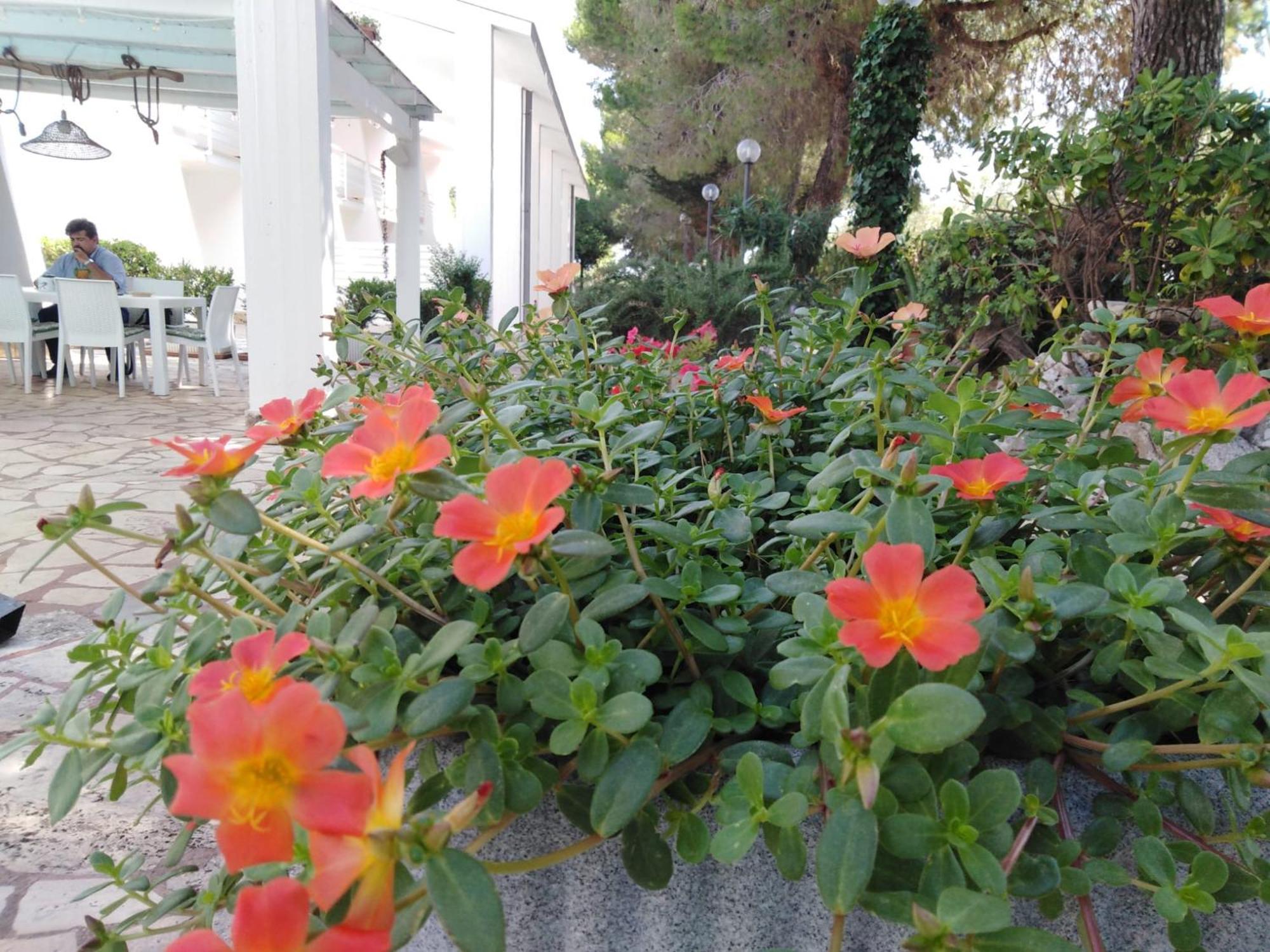 Raggio Di Sole Aparthotel Alberobello Exterior photo